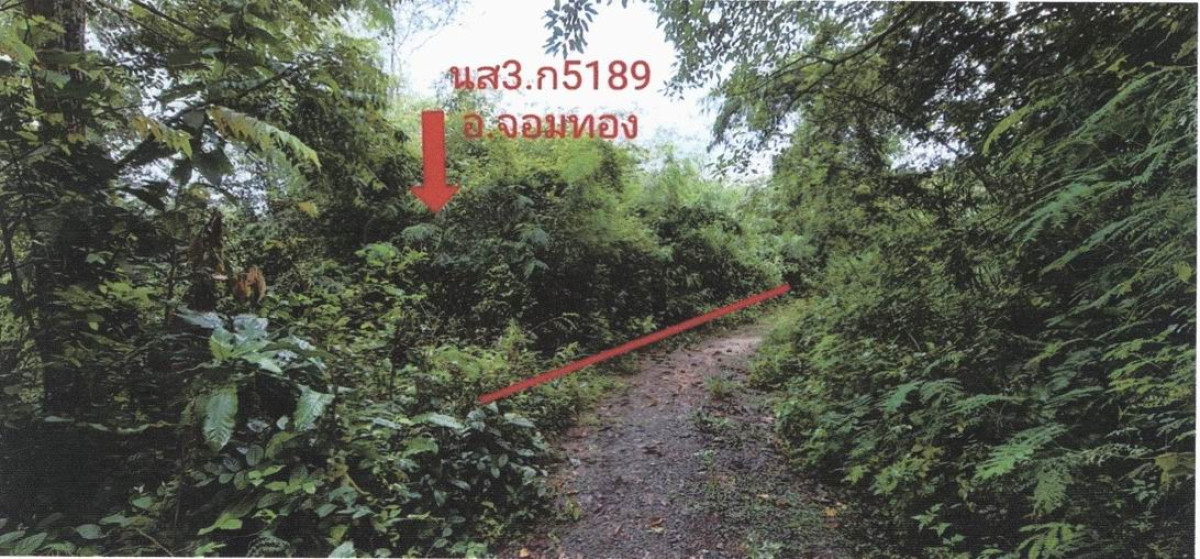 ที่ดินเปล่า เชียงใหม่ จอมทอง สบเตี๊ยะ 542500