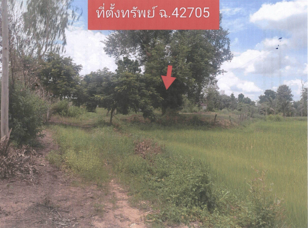ที่ดินเปล่า มหาสารคาม วาปีปทุม หัวเรือ 45600