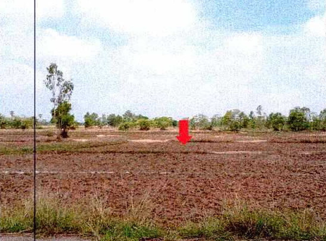 ที่ดินเปล่า หนองคาย ท่าบ่อ กองนาง 302800