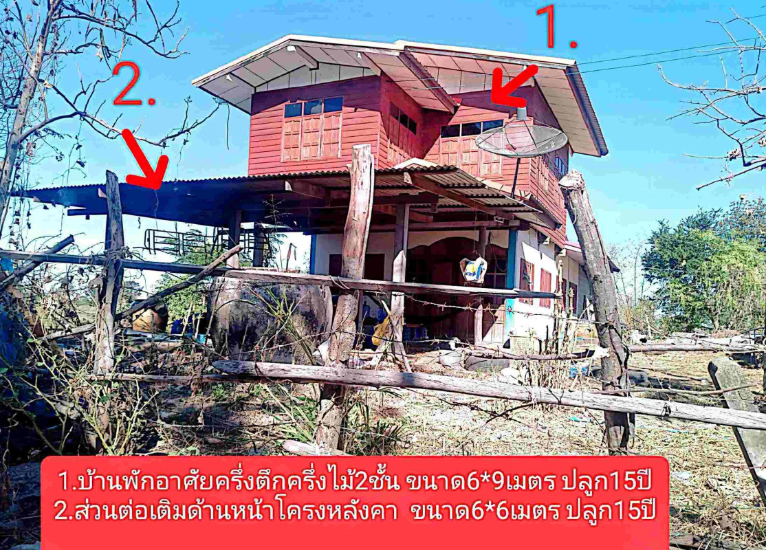 บ้านเดี่ยว มหาสารคาม พยัคฆภูมิพิสัย หนองบัวแก้ว 582300