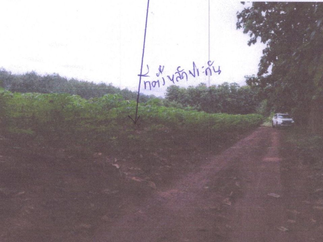 ที่ดินเปล่า เลย เมืองเลย นาดินดำ 605500