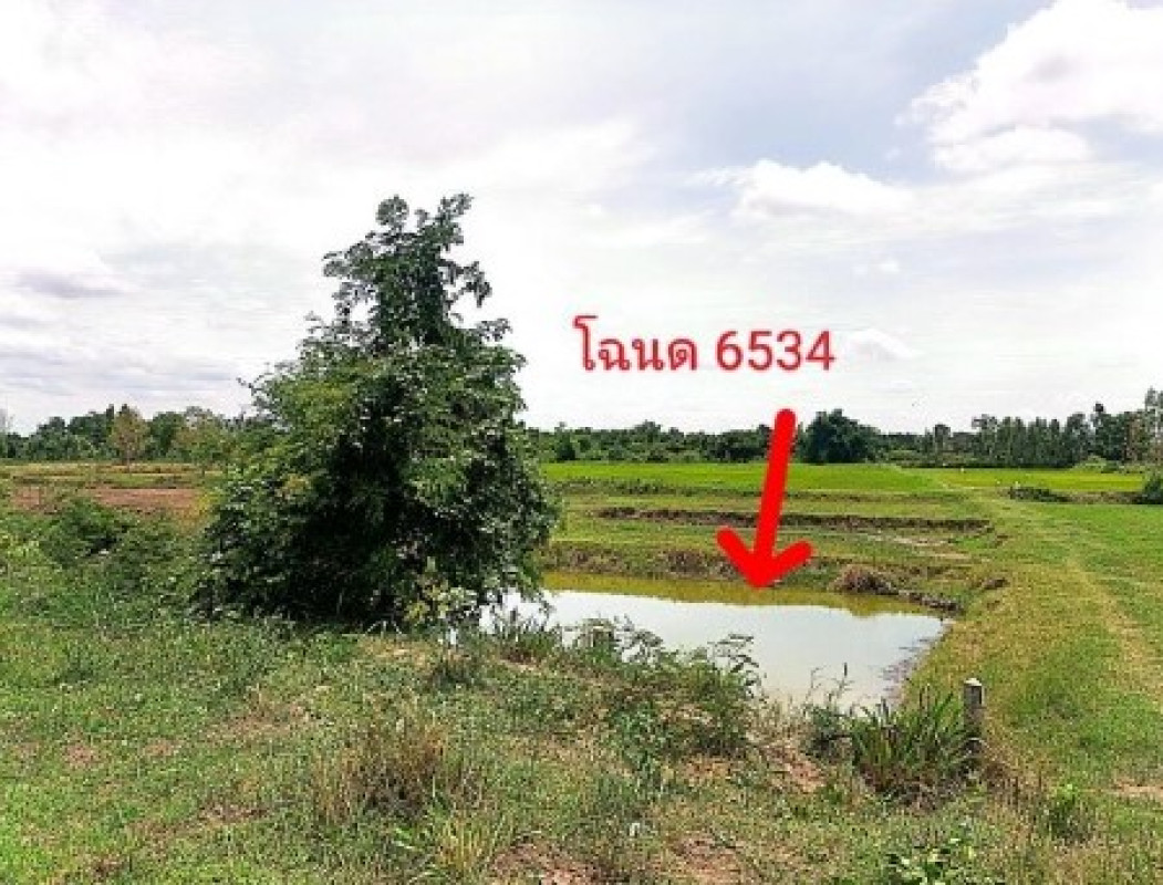 ที่ดินเปล่า บุรีรัมย์ พุทไธสง บ้านจาน 55800