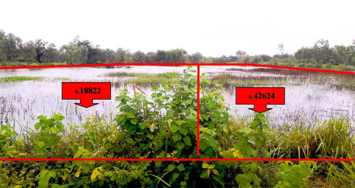 ที่ดินเปล่า อุบลราชธานี ม่วงสามสิบ หนองฮาง 516443