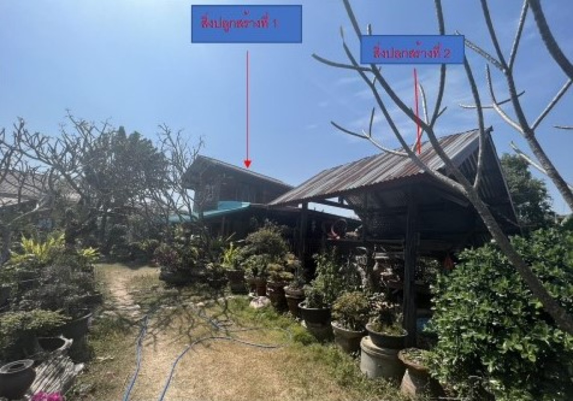 Single house Yasothon Pa Tio Pho Sai 491710
