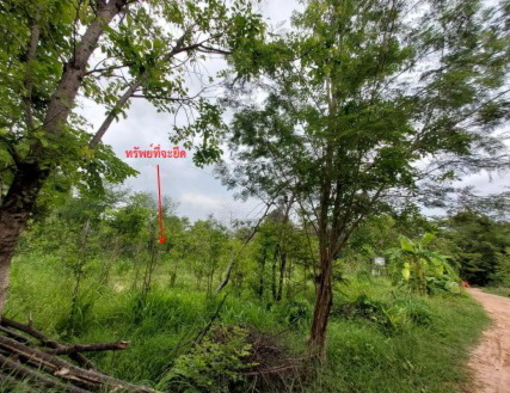 ที่ดินเปล่า กาฬสินธุ์ คำม่วง เนินยาง 574800
