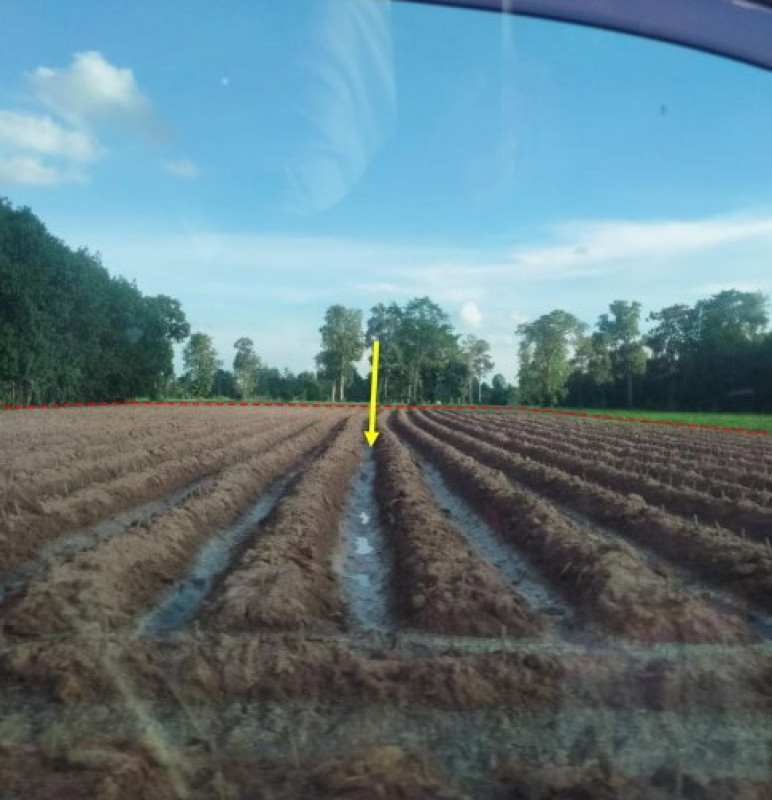 Residential land/lot Ubon Ratchathani Nam Yuen Kao Kham 123880