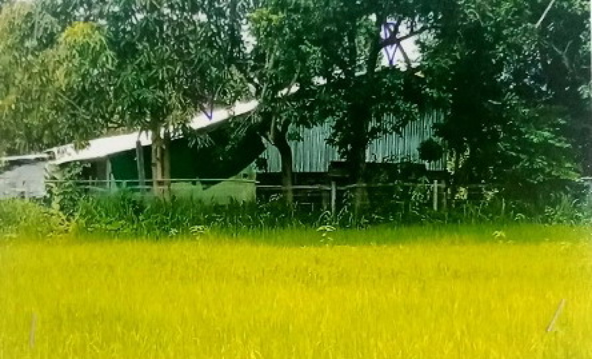 บ้านเดี่ยว สกลนคร โคกศรีสุพรรณ ด่านม่วงคำ 335271