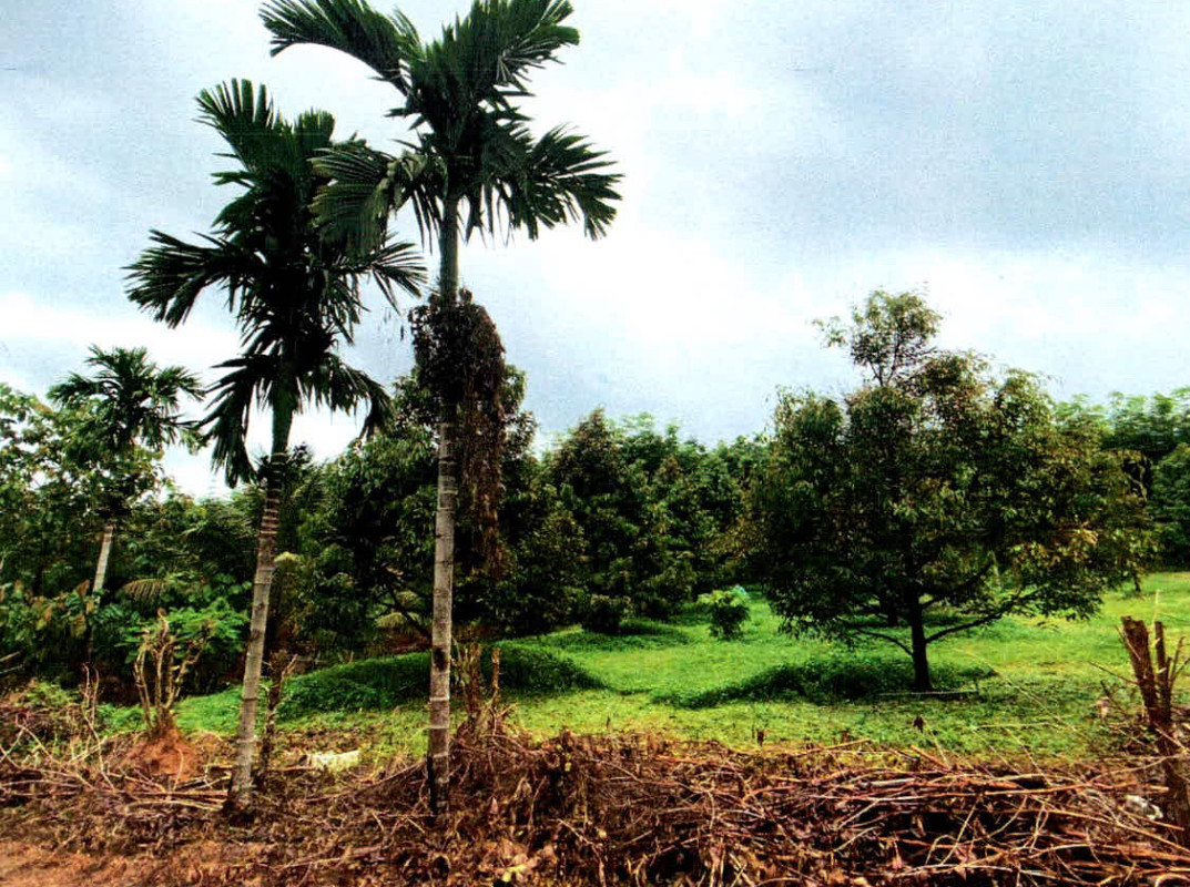 Residential land/lot Trat Laem Ngop Bang Pit 596650