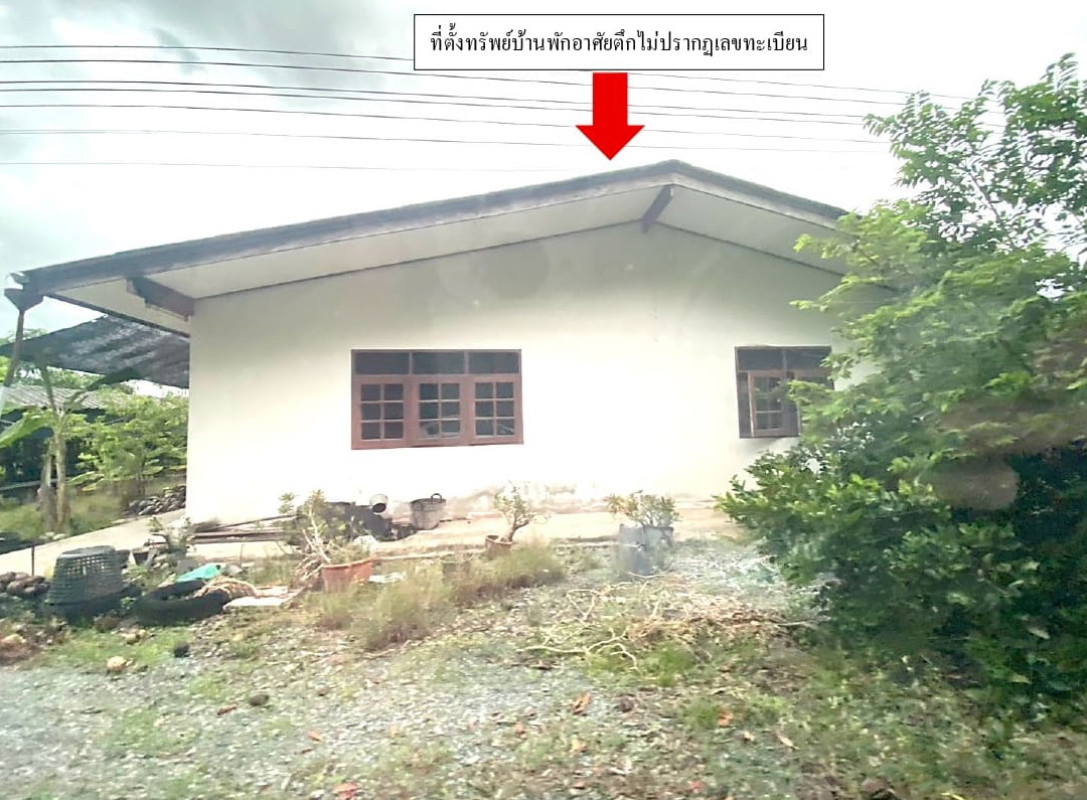 บ้านเดี่ยว นครปฐม สามพราน สามพราน 1453160