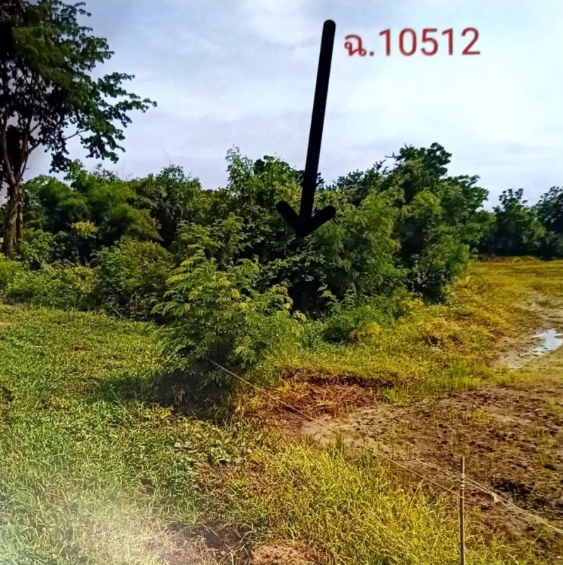 ที่ดินเปล่า นครสวรรค์ หนองบัว วังบ่อ 42150