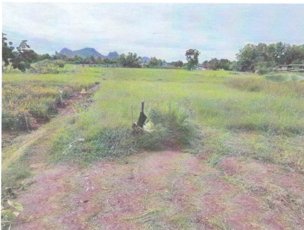 ที่ดินเปล่า เลย หนองหิน หนองหิน 90000