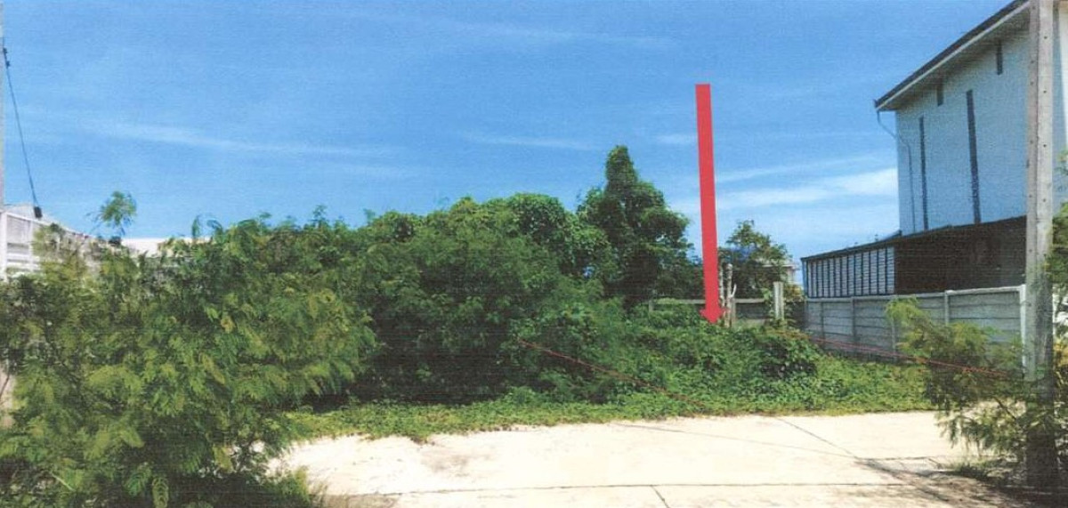 Residential land/lot Ratchaburi Ban Pong Pak Raet 329000