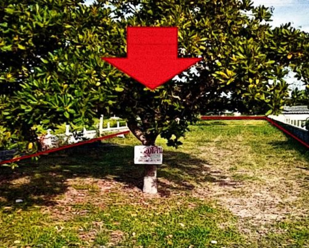 Residential land/lot Ubon Ratchathani Na Chaluai Na Chaluai 145860