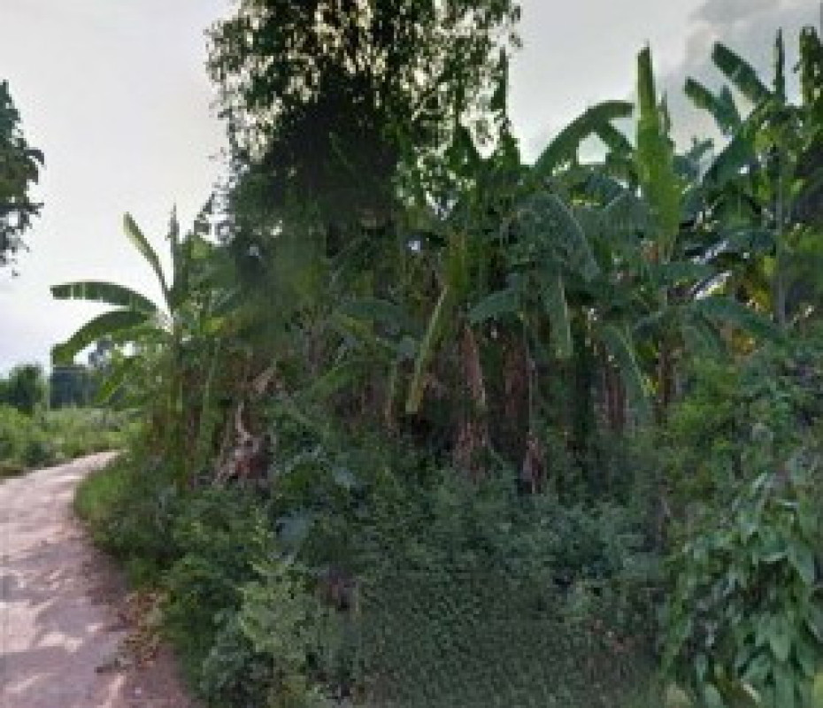 ที่ดินเปล่า อุบลราชธานี นาเยีย นาดี 33000