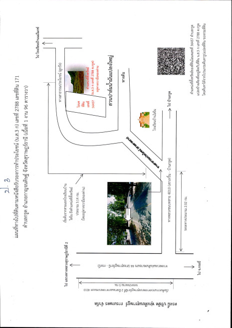 ที่ดินเปล่า สุราษฎร์ธานี กาญจนดิษฐ์ กรูด 117600