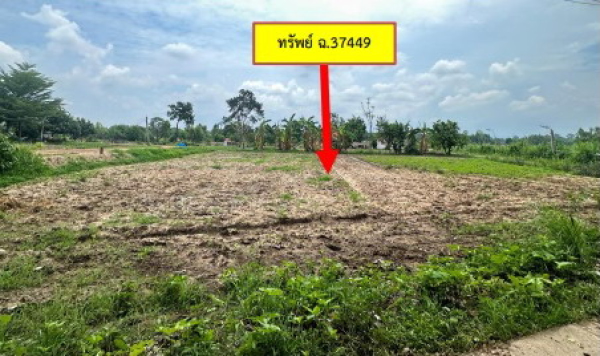 ที่ดินเปล่า กาฬสินธุ์ สมเด็จ ลำห้วยหลัว 75300