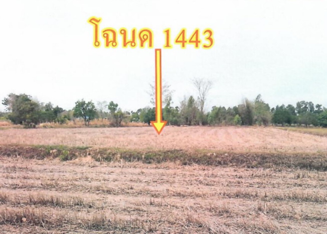 ที่ดินเปล่า อุบลราชธานี โพธิ์ไทร โพธิ์ไทร 409200