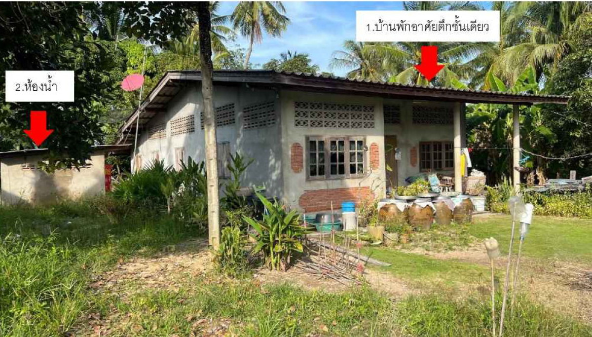 บ้านเดี่ยว ประจวบคีรีขันธ์ ปราณบุรี เขาน้อย 1029788