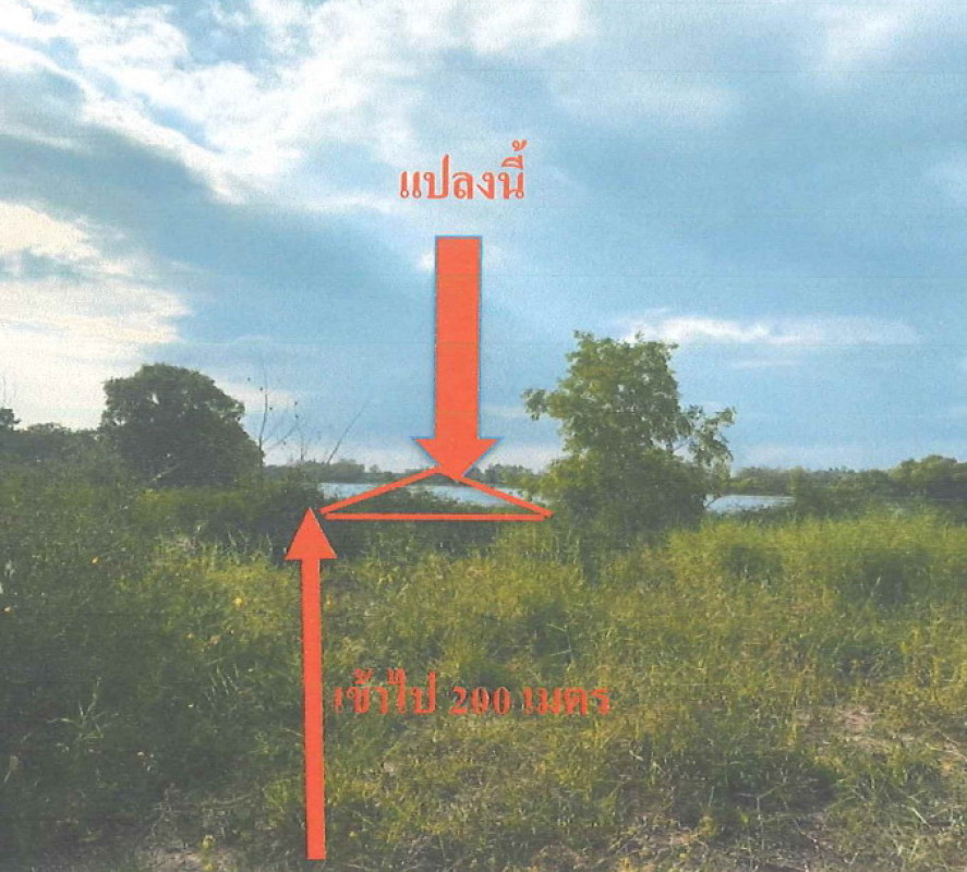ที่ดินเปล่า นครนายก บ้านนา บ้านพริก 806675