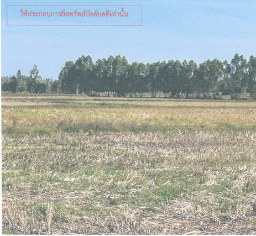 ที่ดินเปล่า กาฬสินธุ์ ยางตลาด หัวนาคำ 418000