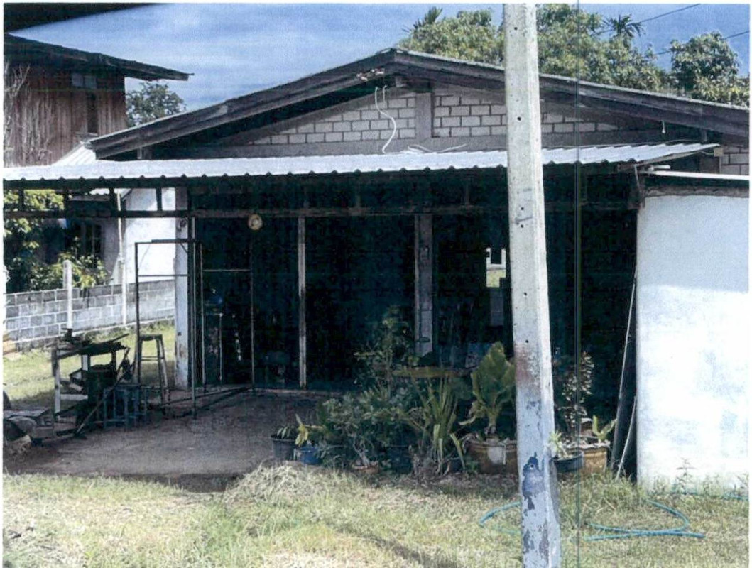 บ้านเดี่ยว บุรีรัมย์ นางรอง หนองกง 484502