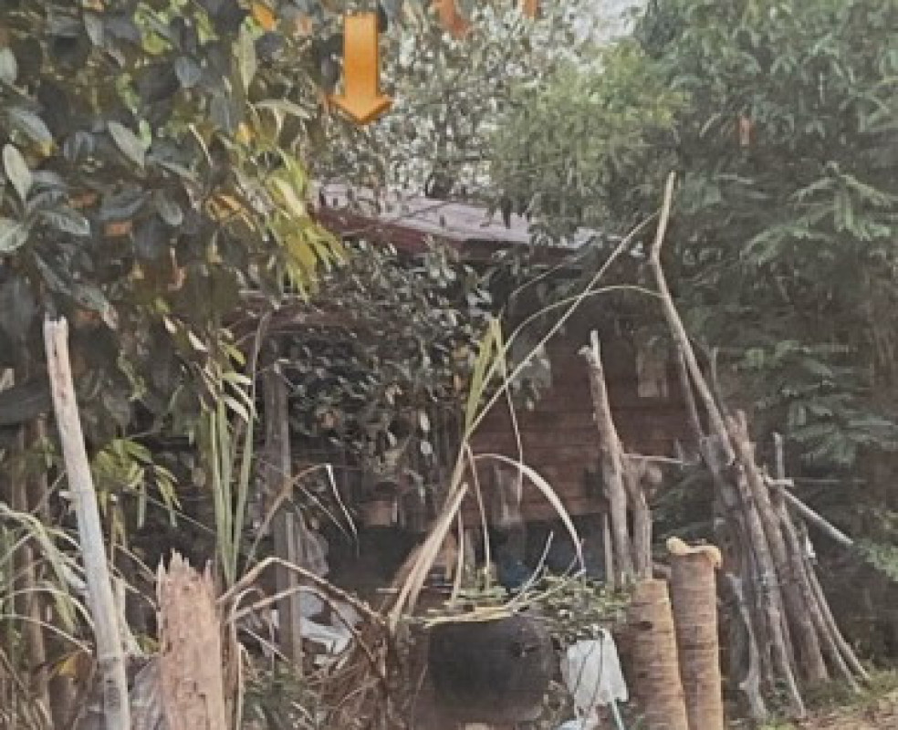 Single house Nong Khai Rattanawapi Phon Phaeng 212605
