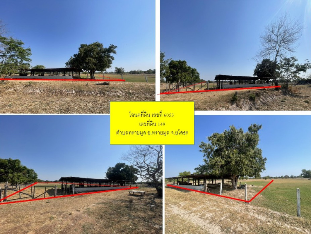 Single house Yasothon Sai Mun Sai Mun 424940