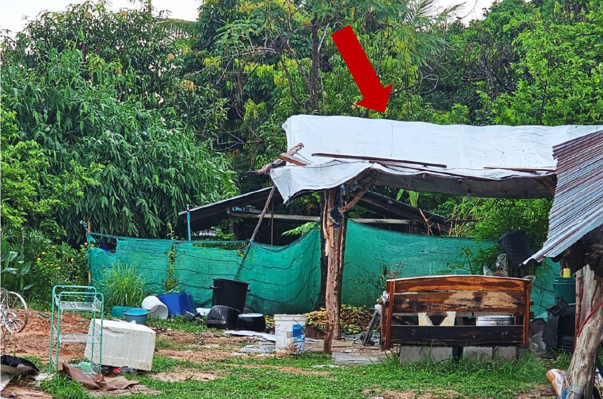 ที่ดินเปล่า ยโสธร เลิงนกทา กุดเชียงหมี 64400