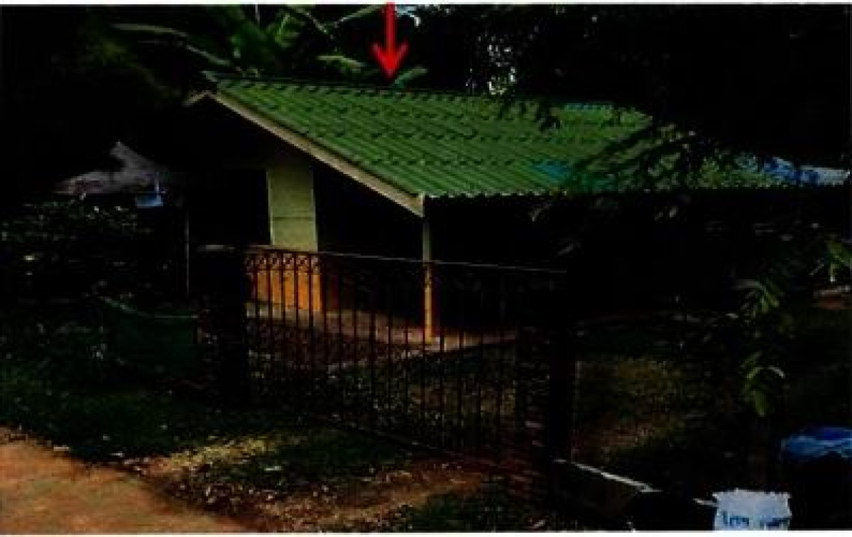 บ้านเดี่ยว หนองคาย สระใคร สระใคร 217440