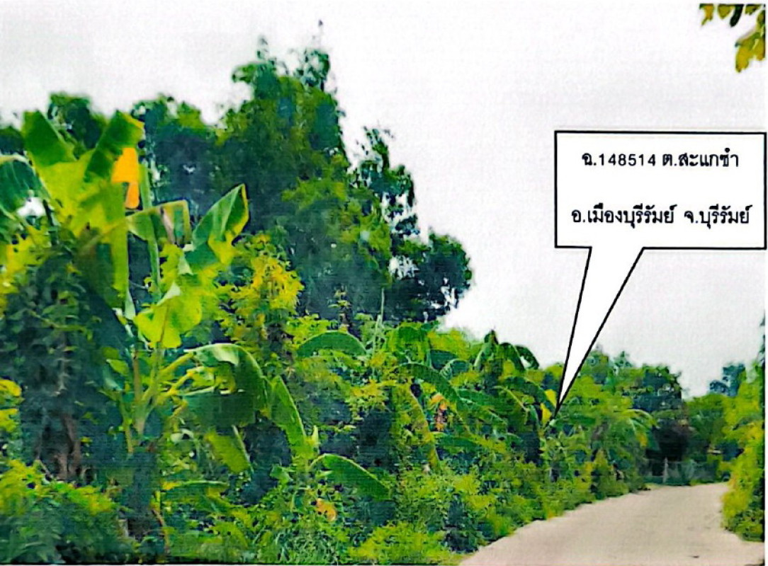Residential land/lot Buri Ram Mueang Buri Ram Sakae Sam 160000