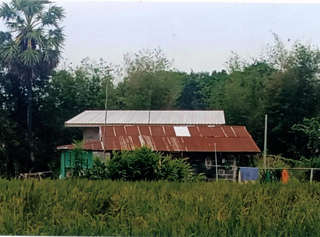 Residential land/lot Ubon Ratchathani Trakan Phuet Phon Kusakon 17100