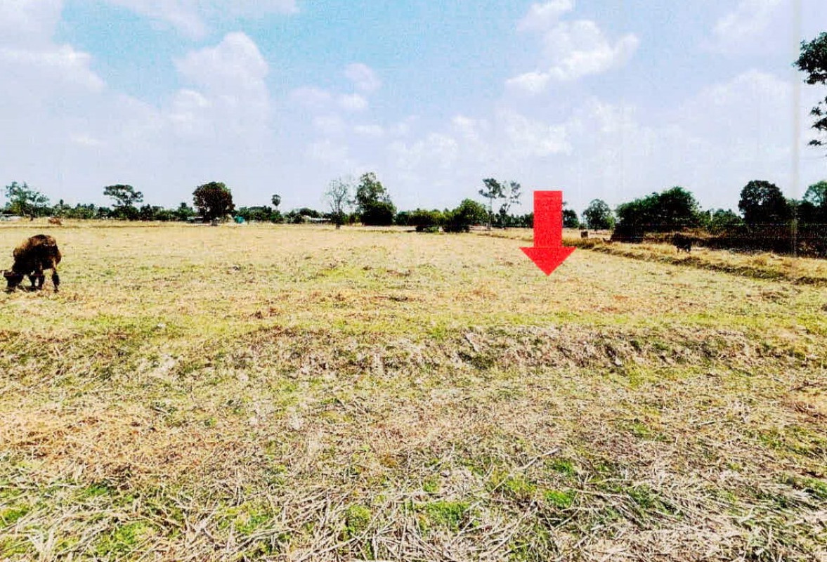 Residential land/lot Si Sa Ket Khukhan Takhian 9880