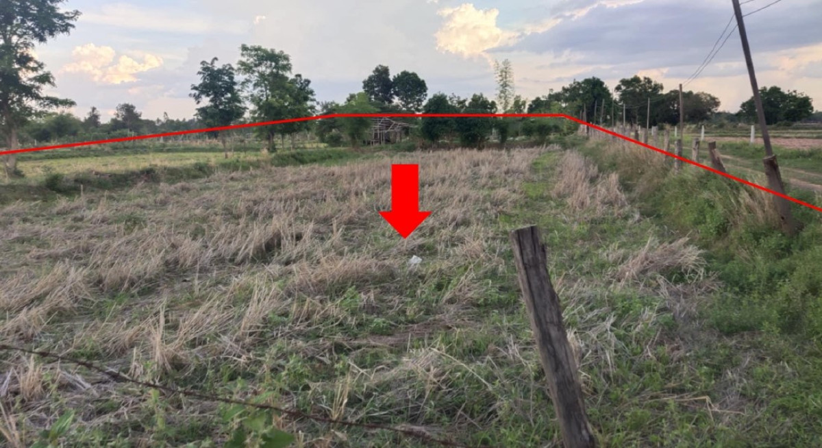 Residential land/lot Maha Sarakham Na Dun Dong Yang 330000