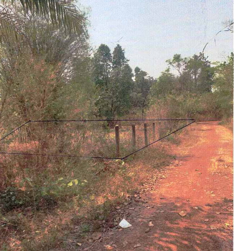 ที่ดินเปล่า หนองคาย เมืองหนองคาย พระธาตุบังพวน 890220