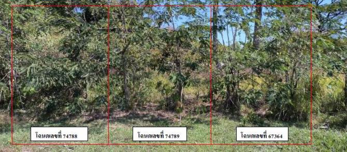 ที่ดินเปล่า อุบลราชธานี วารินชำราบ บุ่งไหม 65250