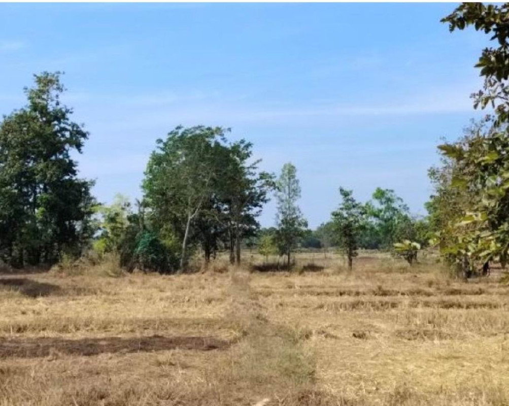 ที่ดินเปล่า สกลนคร พรรณานิคม บะฮี 208400