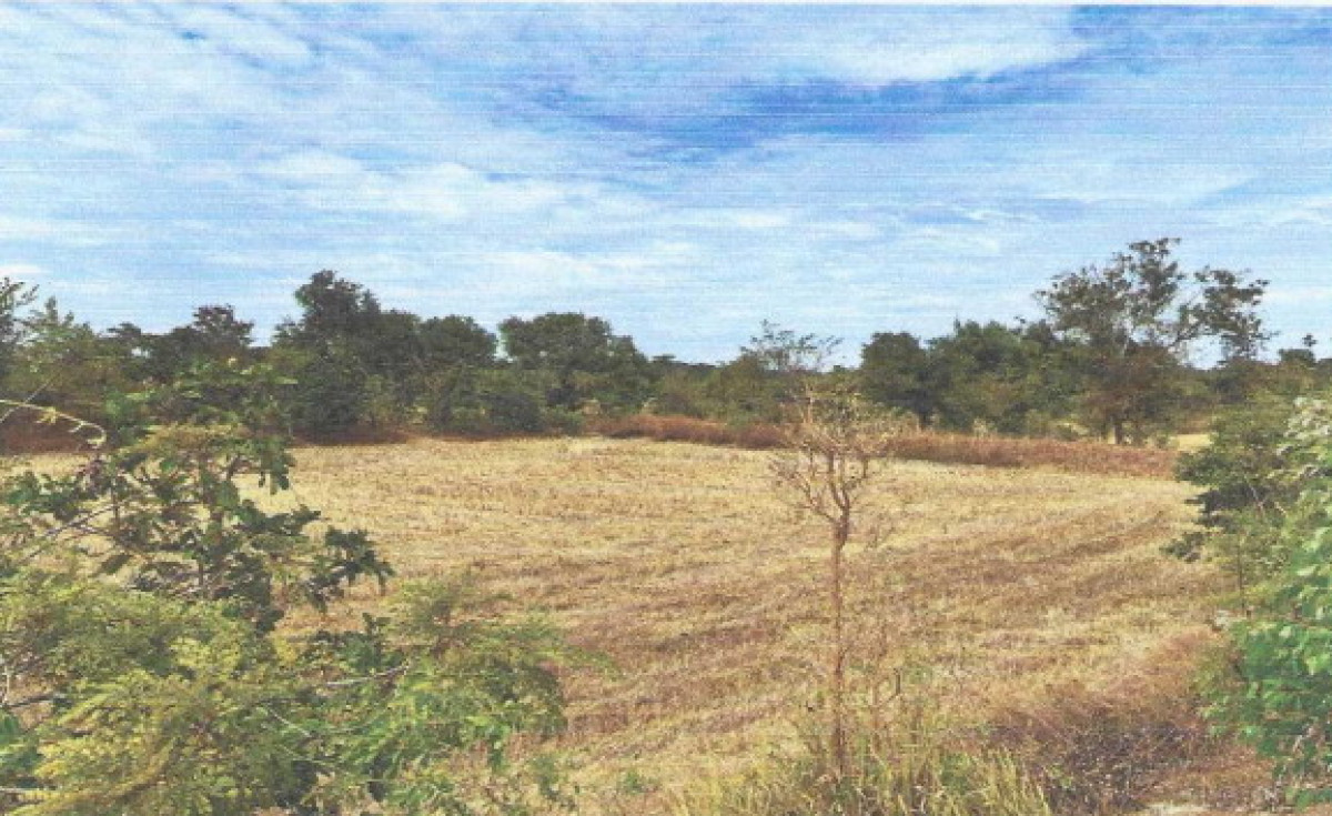 Residential land/lot Ubon Ratchathani Trakan Phuet Phon Trakan 256984