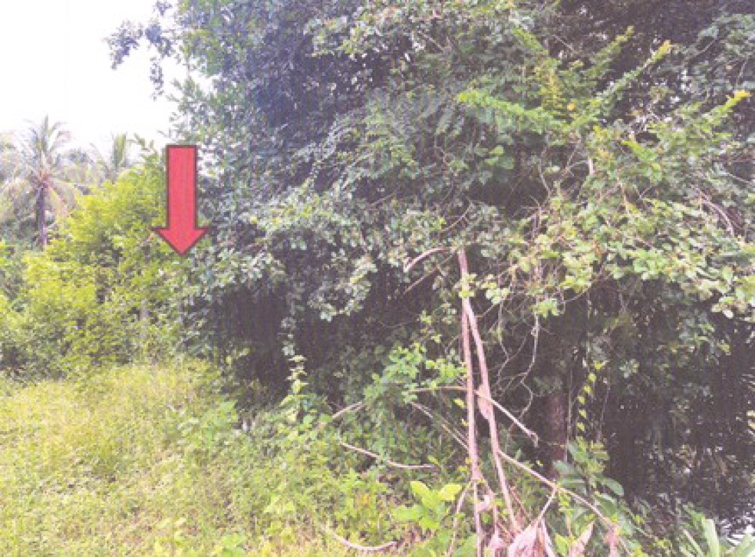 Residential land/lot Songkhla Hat Yai Thung Tam Sao 886200