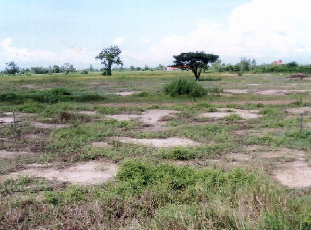 Residential land/lot Lamphun Ban Thi Ban Thi 844750