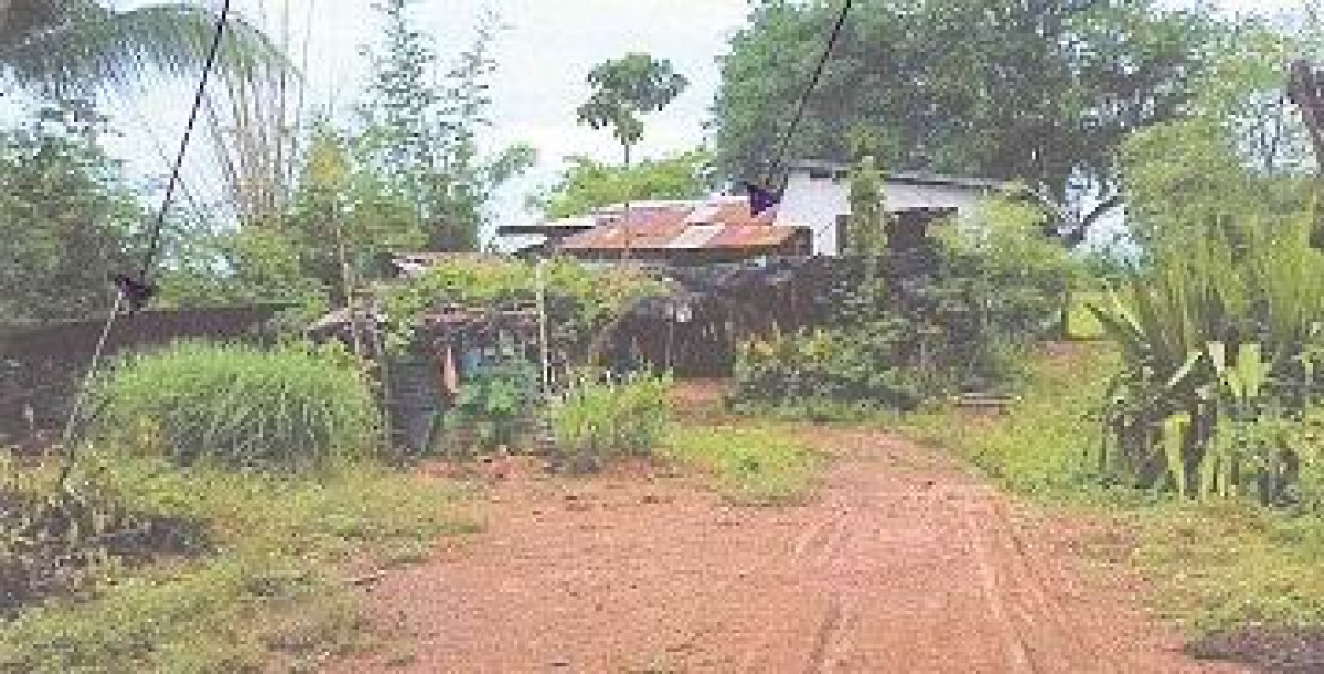 บ้านเดี่ยว นครสวรรค์ ไพศาลี วังน้ำลัด 250376