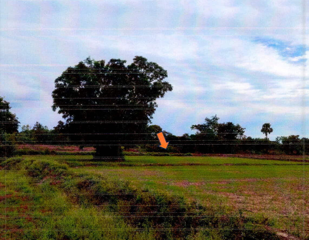 Residential land/lot Si Sa Ket Uthumphon Phisai Sa Kamphaeng Yai 159510