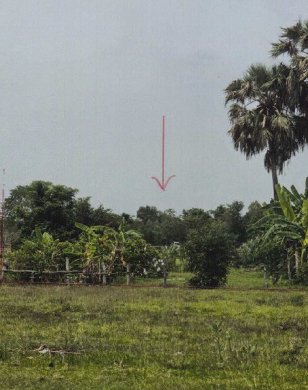 Residential land/lot Buri Ram Lam Plai Mat Lam Plai Mat 31200