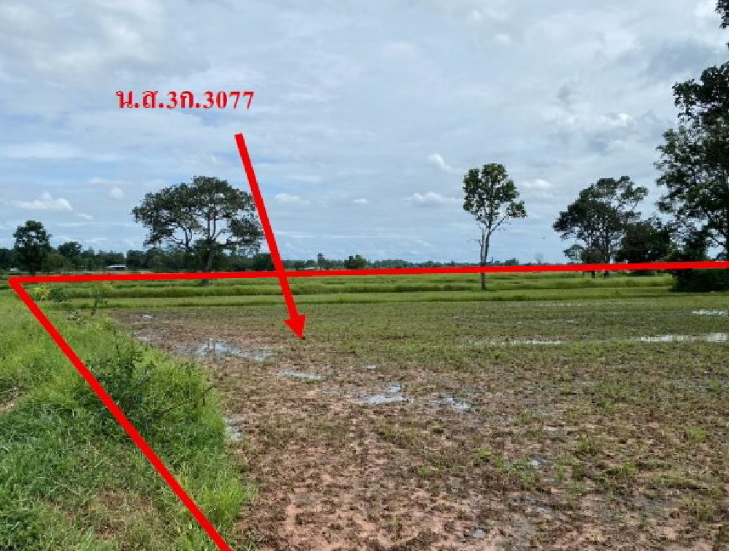 Residential land/lot Buri Ram Lam Plai Mat Ban Yang 3083400