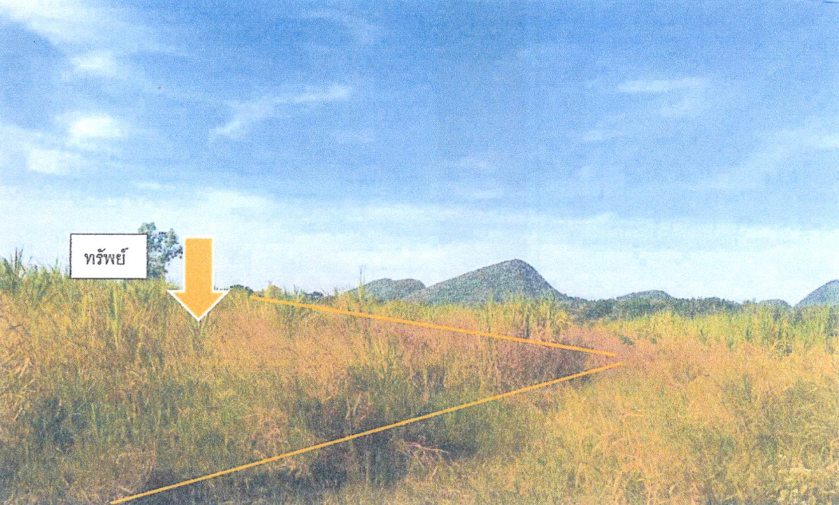 ที่ดินเปล่า ประจวบคีรีขันธ์ หัวหิน หนองพลับ 36000