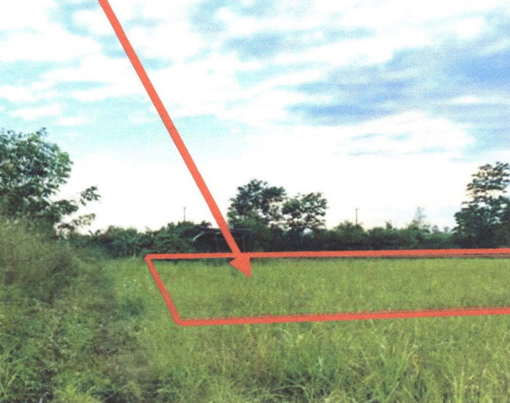 Residential land/lot Chiang Rai Wiang Chiang Rung Thung Ko 520273