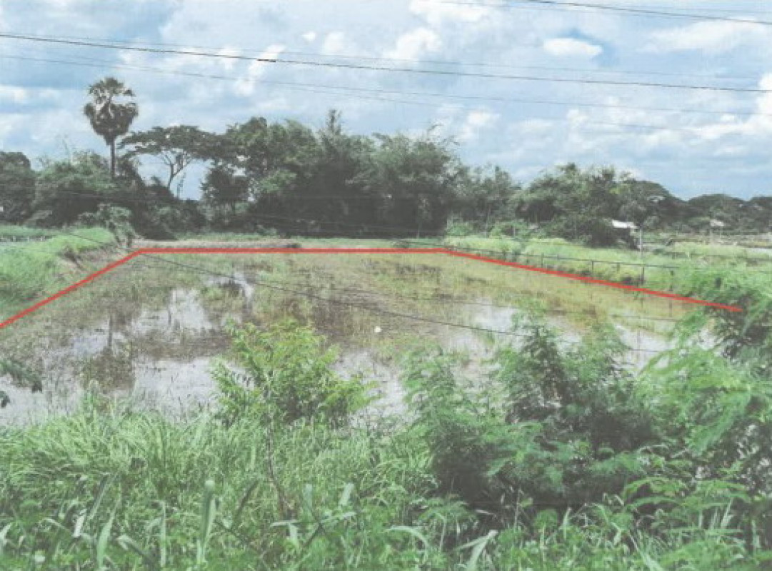 Residential land/lot Kalasin Yang Talat Bua Ban 253000