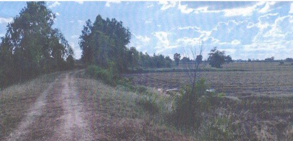 Residential land/lot Buri Ram Krasang Song Chan 724425