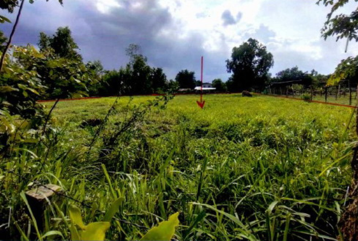 Residential land/lot Buri Ram Khu Mueang Nong Khaman 144480