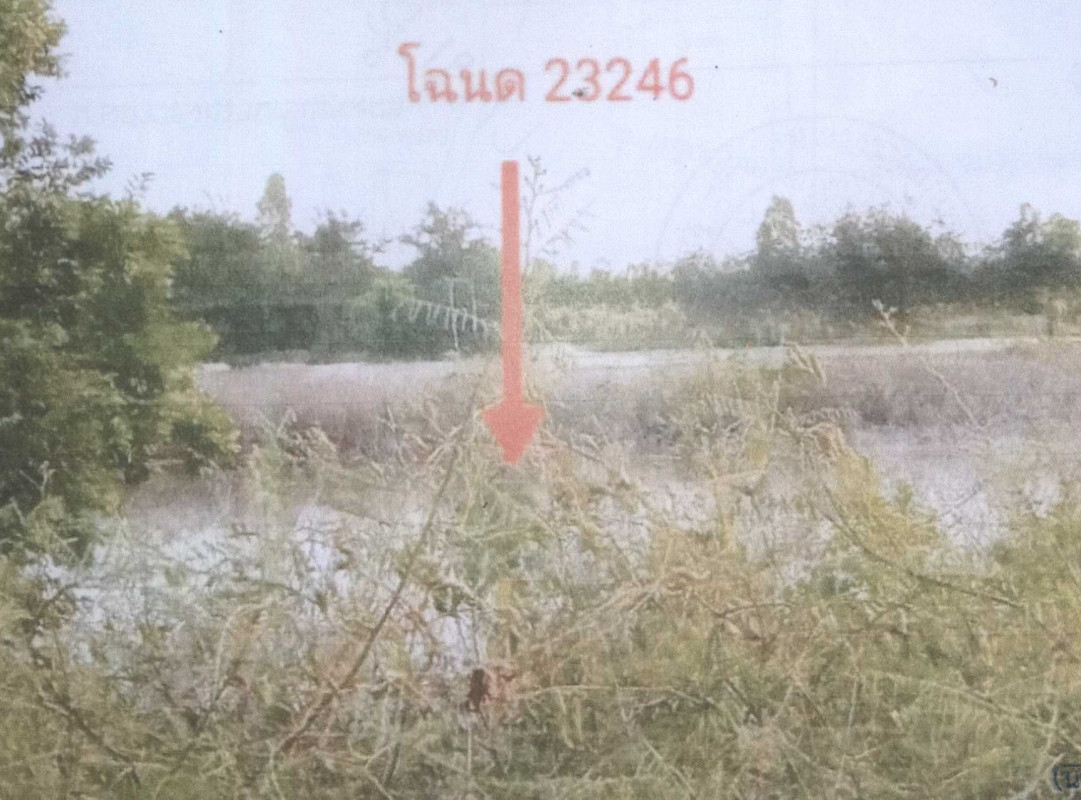 ที่ดินเปล่า ยโสธร ค้อวัง ฟ้าห่วน 642600