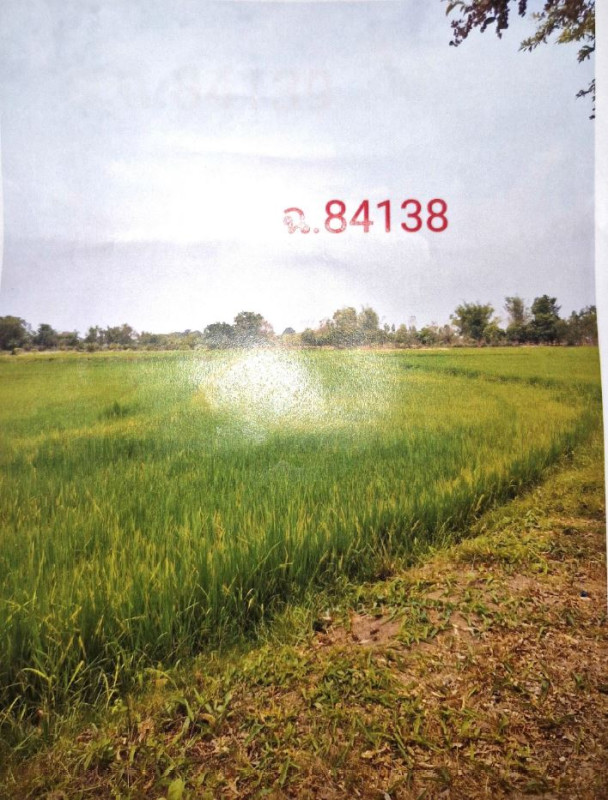 ที่ดินเปล่า ยโสธร เมืองยโสธร ค้อเหนือ 90780